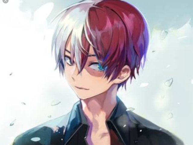 Todoroki Shoto