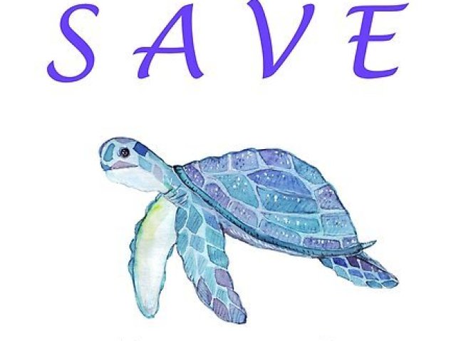 save the turtles