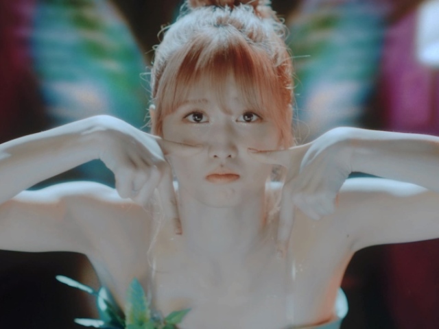 Momo - Sininho