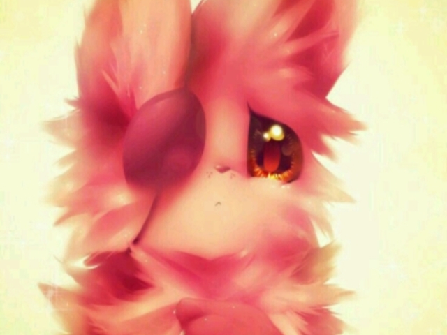 Foxy