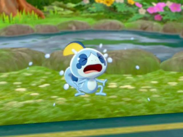 Eu nem sei o que dizer. Você não parece ser um fão pokémon...