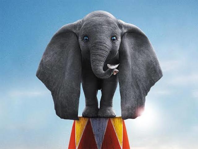 Dumbo