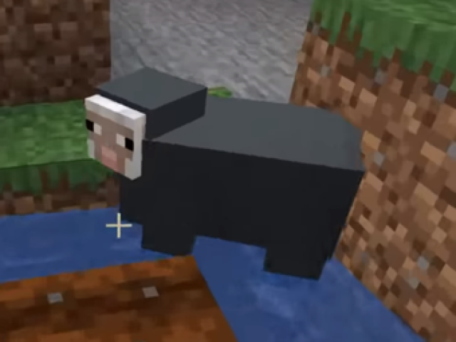 Water Sheep