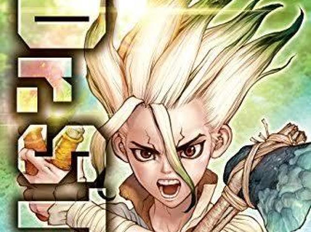 Dr. Stone