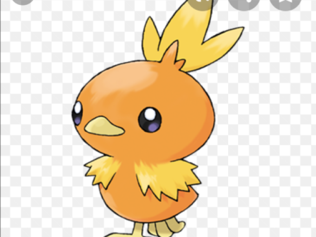 Torchic