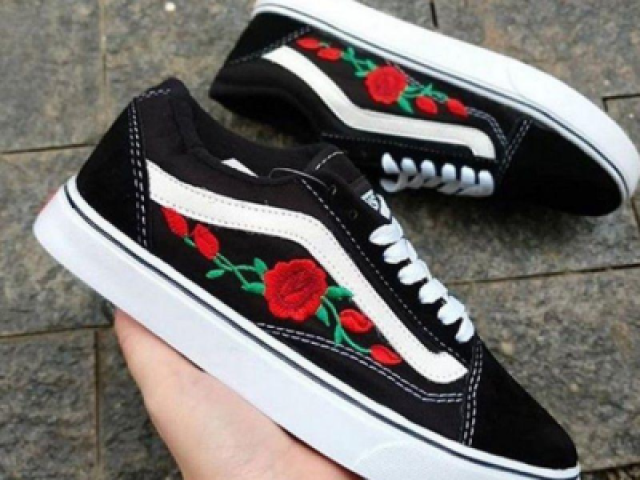 Vans e vida