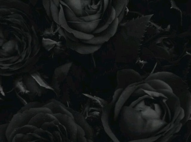 Blak ♥♥