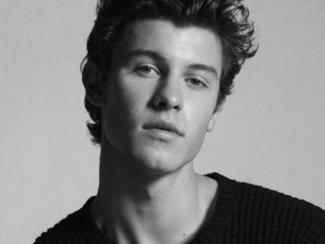 Você é fã do Shawn Mendes?