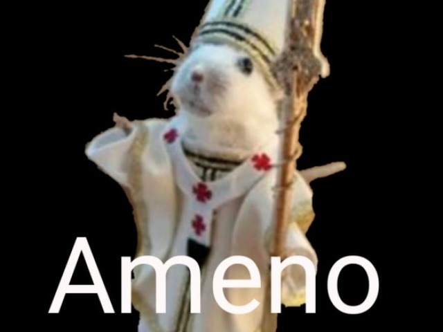 AMENO