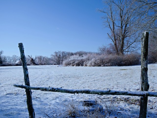 Para a neve onde qual quer casaco é estiloso