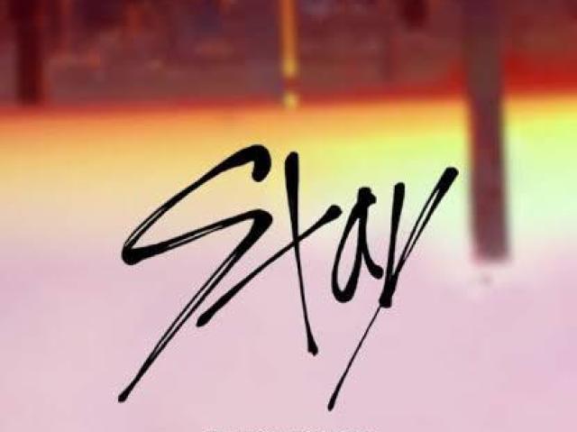 stay stray kids <3