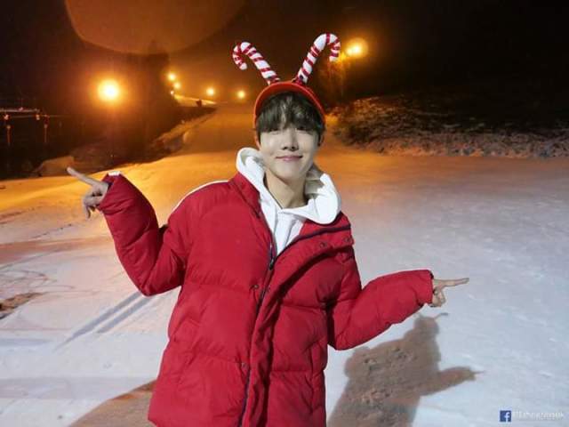 Flores do J-Hope
