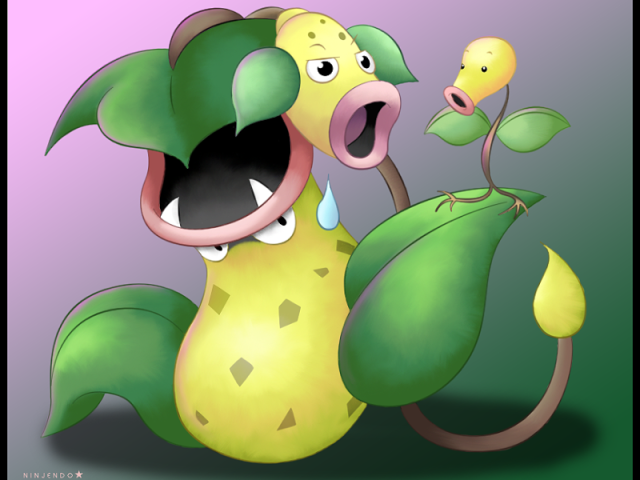 Bellsprout > Weepinbell > Victreebel