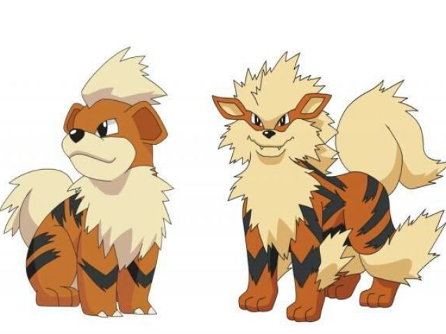 Growlithe > Arcanine