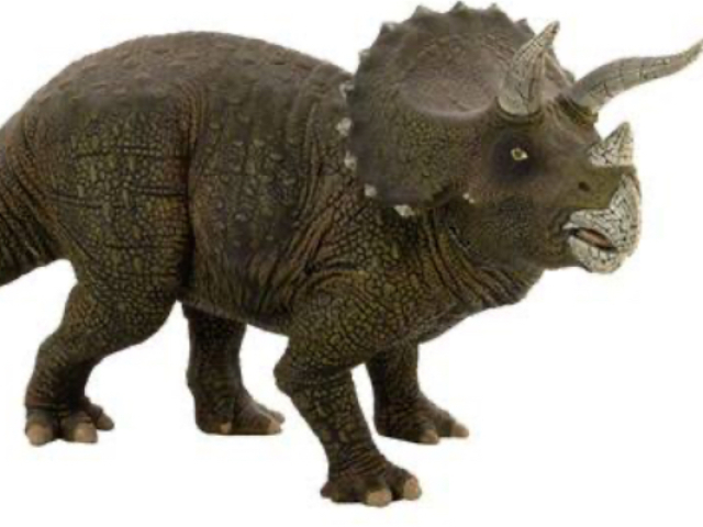 Triceratops