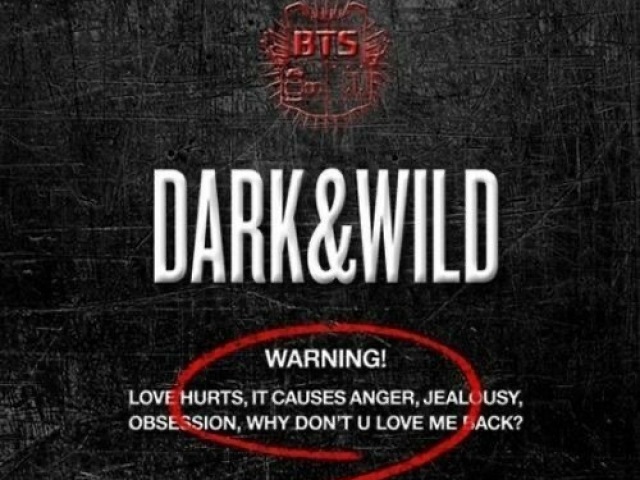 DARK&WILD