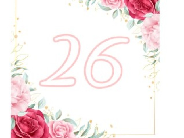 26