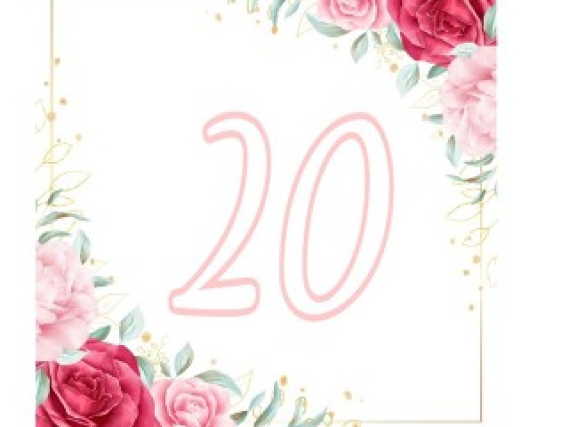 20