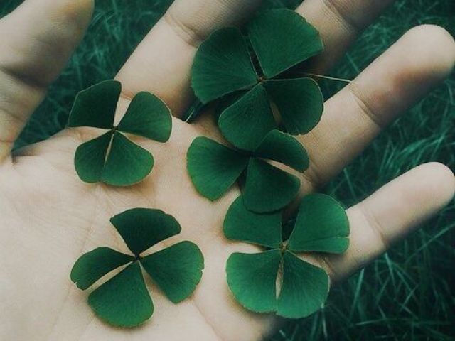 Lucky - chelseɑ cutler e ɑlexɑnder 23
