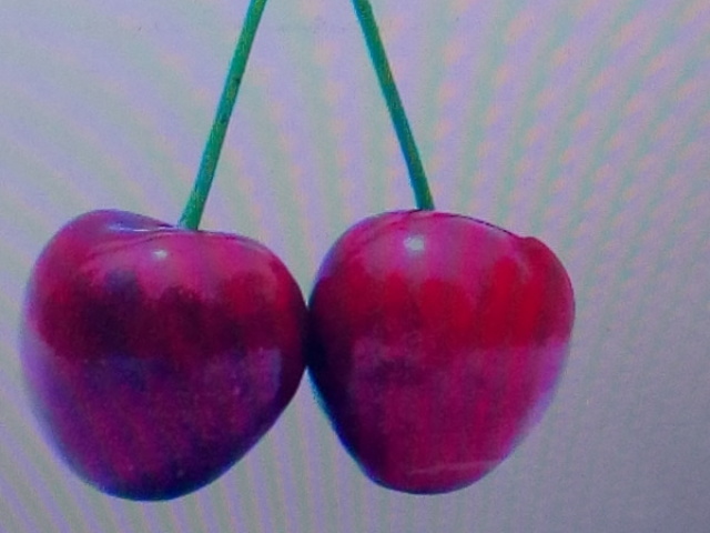 Cherry