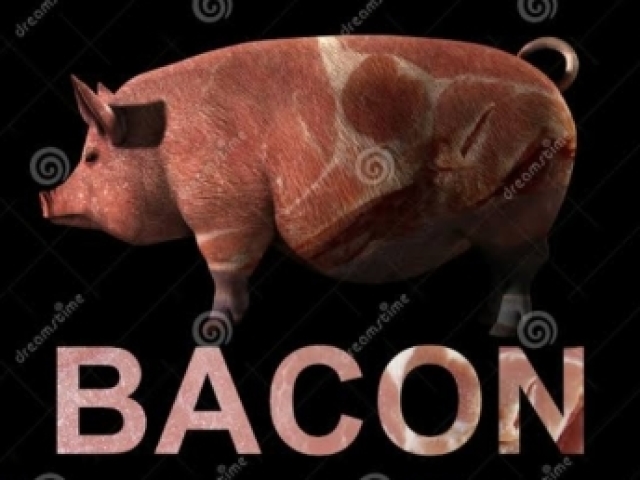 Bacon