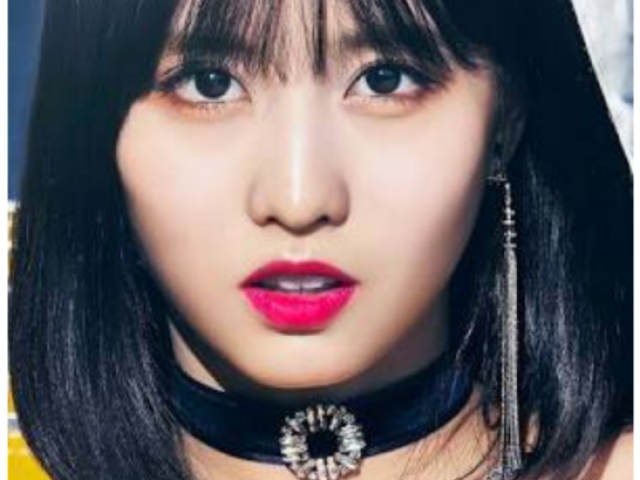 MOMO🦝