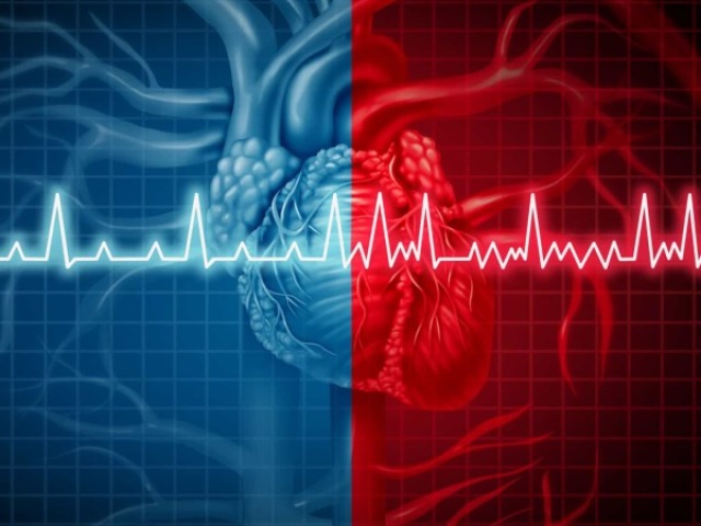 Cardiologia!