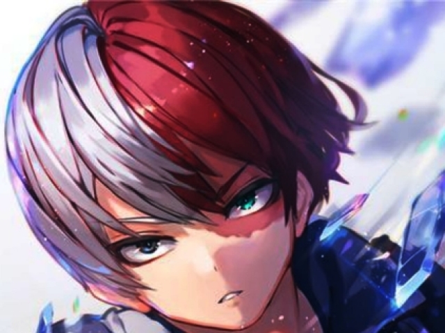 Shoto todoroky