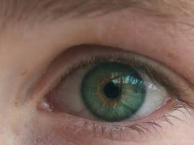 Verde