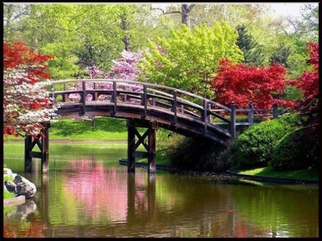 Em um parque na Coreia