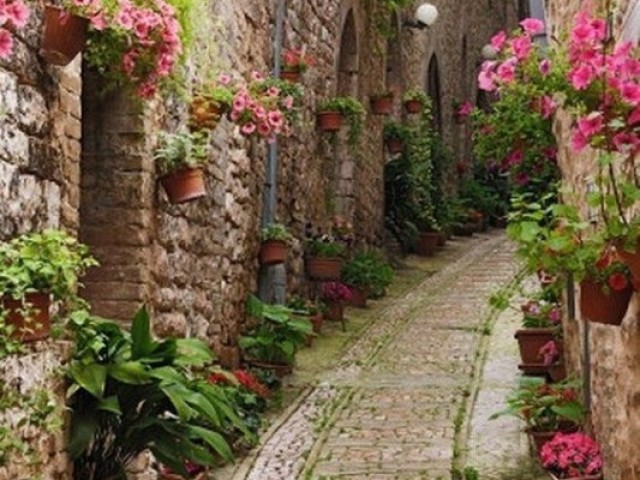 Em um lugar fechado, cheio de flores