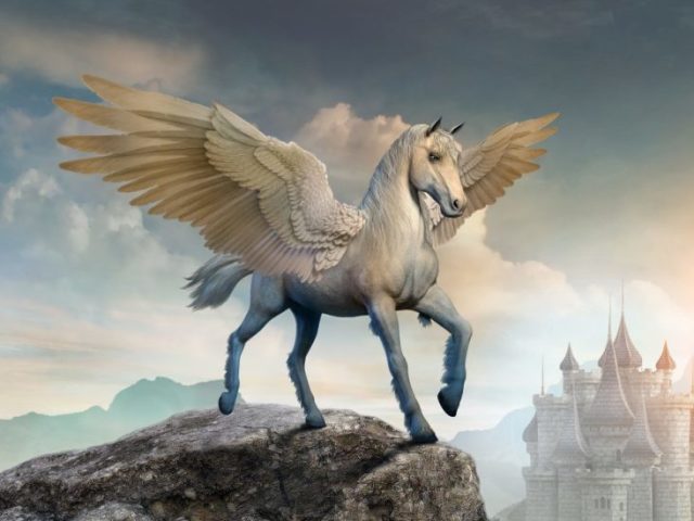 Pegasus