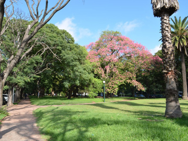 Vou no parque com uns amigos ora