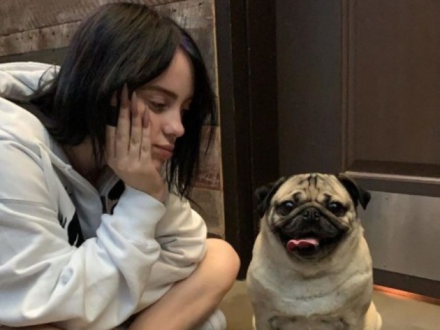Yay! 🥑 você acertou tudo! Você é realmente uma fã verdadeira de Billie Eilish! 🥑❤