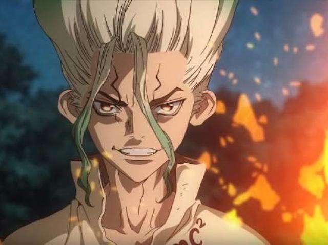 Dr Stone