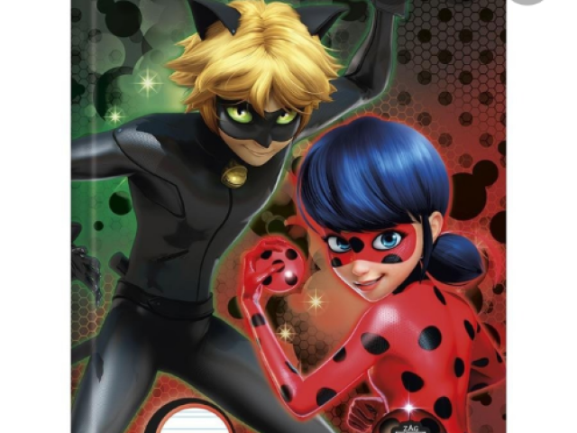 Ladybug e Cat noir