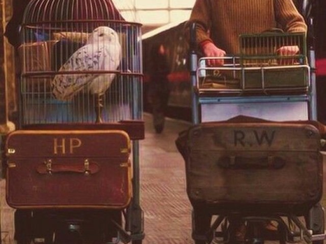 Qual sua casa de Hogwarts?