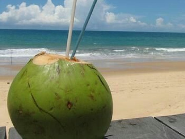 Água de côco