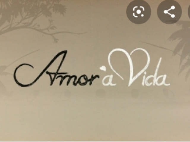 Amor a vida