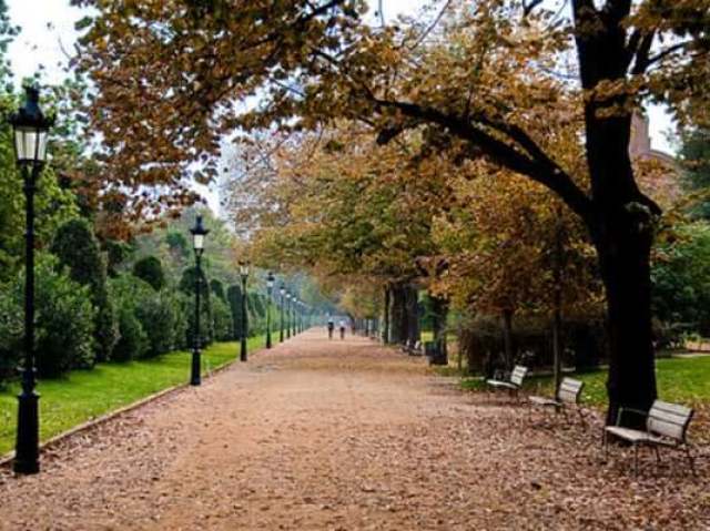 Curto passear em um parque.