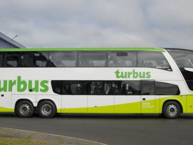 Ônibus