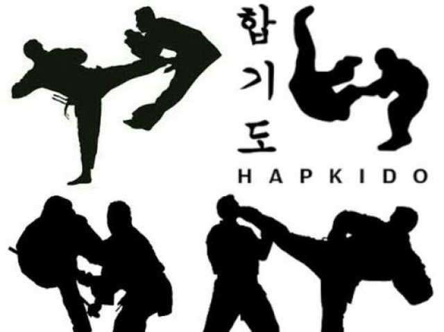 Hapkido.