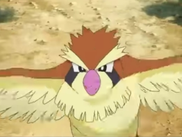 Pidgey