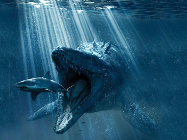 Mosasaurus