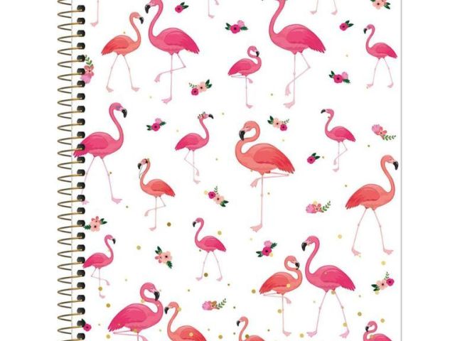 flamingos!