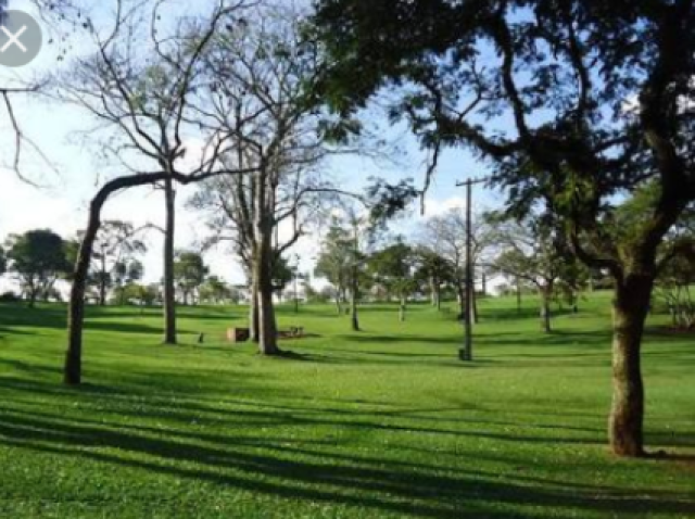 Parque , dar uma caminhada