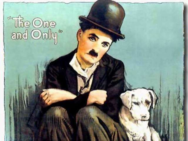 Vida de Cachorro.