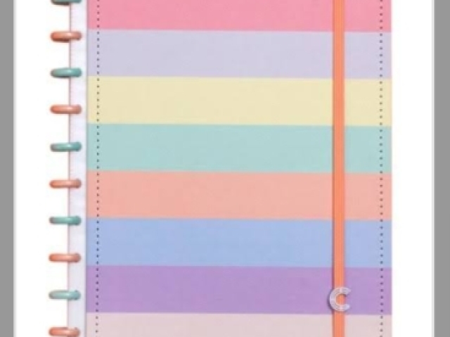 Esse caderno inteligente de cores pastéis :3