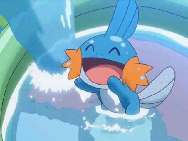 Mudkip