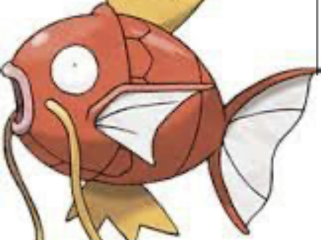 Magikark